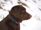 Narrow Creek Labs's Avatar